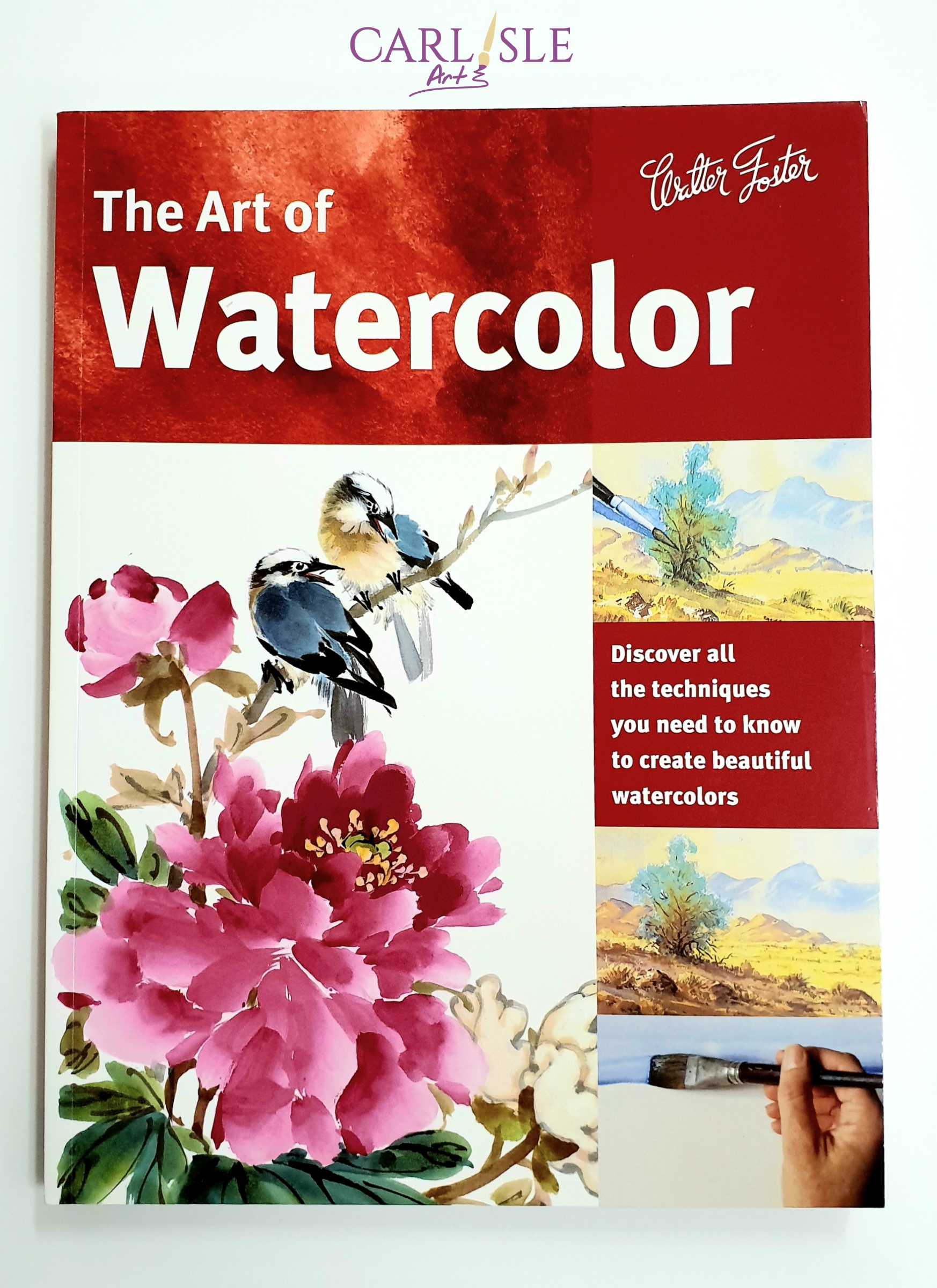 THE ARTIST'S SOURCE BOOK: 80 WATERCOLOR PAINTING by Walter Foster  Publishing NEW