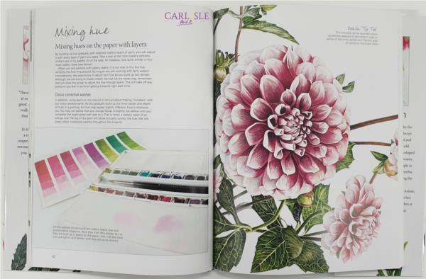 The Modern Flower Painter: Creating Vibrant Botanical Portraits in Watercolor  Paint Book By Anna Mason