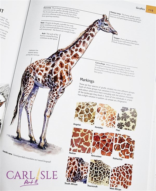 The Field Guide to Drawing & Sketching Animals - Tim Pond The Field Guide to Drawing & Sketching Animals - Tim Pond